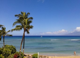 view of the sea and coconut trees